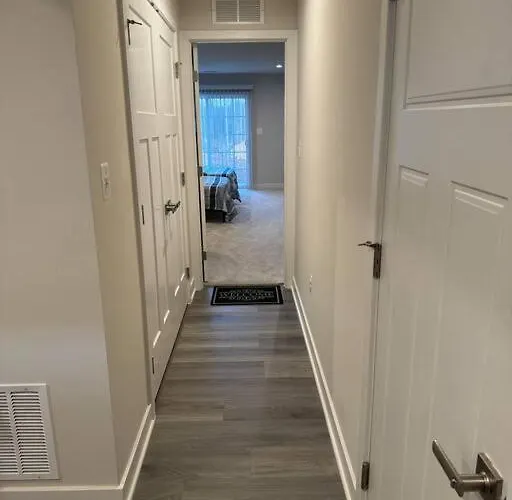 Cozy Room In Charlottesville
